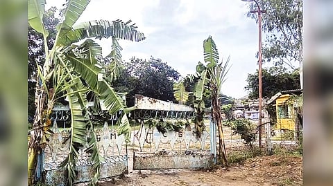 The well-decked mill premises, which missed the pooja for cane crushing season in Tirupattur