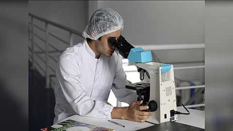 Representative Image