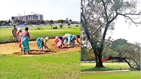 Flooded bunkers being repaired at the MGC; Fallen tree at the TNGF course