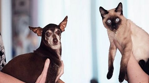 Representative Image