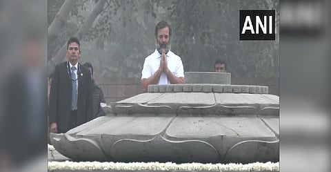 Congress MP Rahul Gandhi