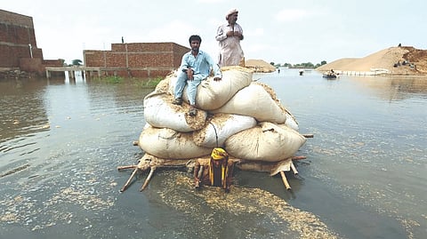 Tangible shifts: 2022 marked the start of a green transition