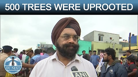 Cyclone Mandous effect: 500 trees uprooted