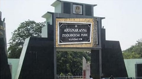 Vandalur Zoo
