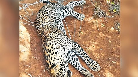 Representative image