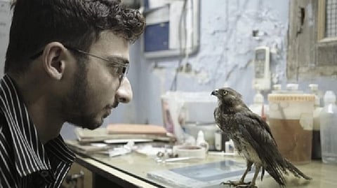 Still from 'All That Breathes'