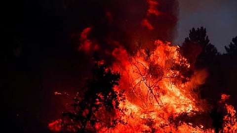 Fire breaks out in Mumbai suburban market, several shops gutted