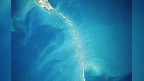 Representative image