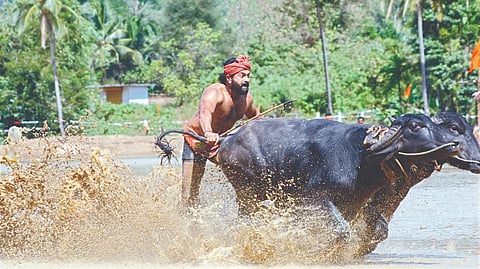 Visuals from the movie