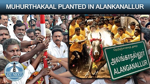 Alanganallur all set to welcome Jallikattu