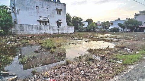 Residents complain of rampant breeding of mosquitoes in Iyyappanthangal and Noombal