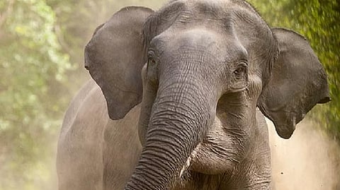 Representative image