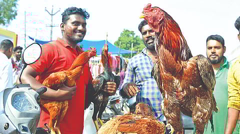 Customers with the fighter cocks they bought in the
weekly shandy at Poigai village, Vellore on Tuesday