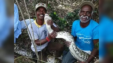 TN?s snake catchers Vadivel Gopal, Masi Sadaiyan