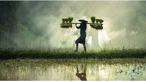 Representative image