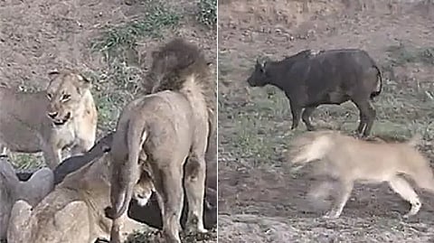 Screengrab from the video