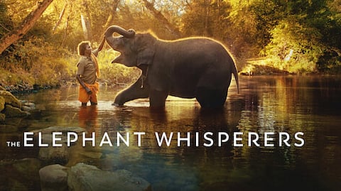 The Elephant Whisperers poster