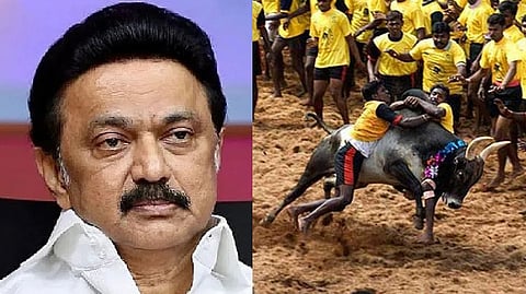 CM Stalin; Representative image of Jallikattu event