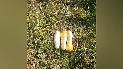 visuals of narcoties