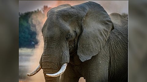 Representative Image