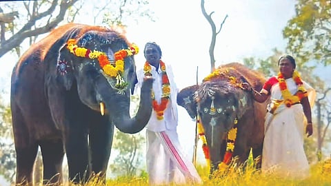 Bomman and Bellie with elephants Raghu and Ammu