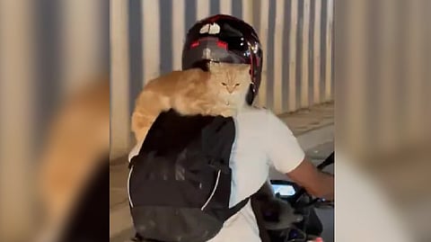 Screengrab from video