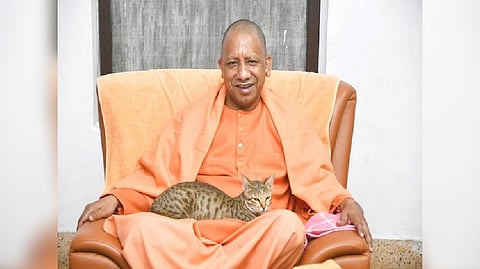 Uttar Pradesh Chief Minister Yogi Adityanath