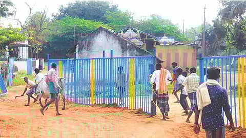 A bull at the venue of jallikattu which was cancelled on Friday