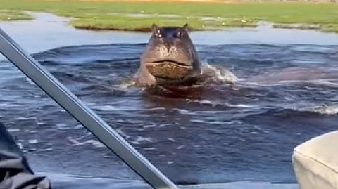 Screengrab from the clip