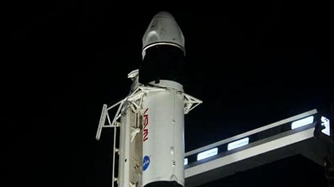 Representative image