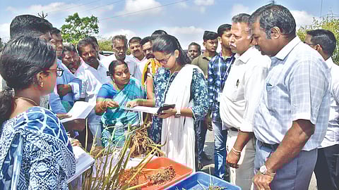 Tiruvarur Collector T Charusree had an interaction with inland fishers.