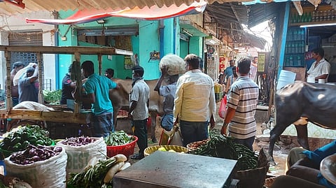 Steady inflow of vegetables brings prices down in Chennai