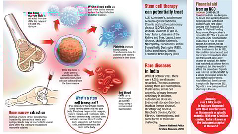 Cells that offer hope