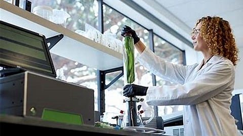 Representative image