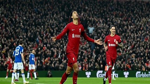 Cody Gakpo celebrating a goal