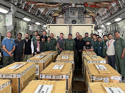 IAF plane carrying 12 cheetahs from South Africa lands in Gwalior