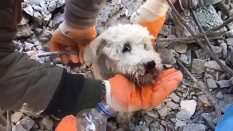 Screengrab from the video