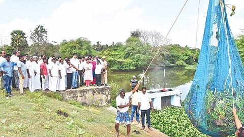 Tonnes of vegetation being cleared from Vaduvoor Lake in the presence of Mannargudi MLA TRB Rajaa and Collector T Charusree in Tiruvarur on Saturday