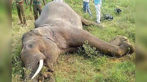 Representative Image