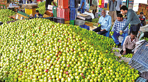 Representative image