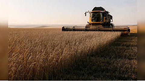 Russia's agricultural exports increase