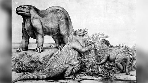 The Paleo Diet: Regret the fossil error. It wasn’t the first