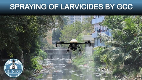 GCC sprayed larvicides to control mosquito menace