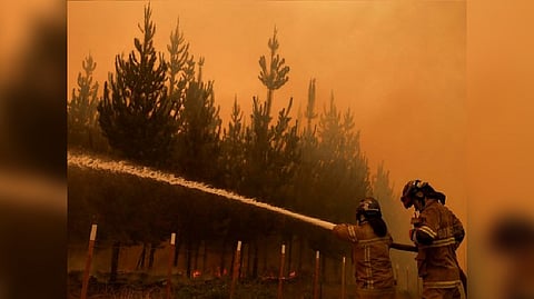 Wildfire burns in Chile