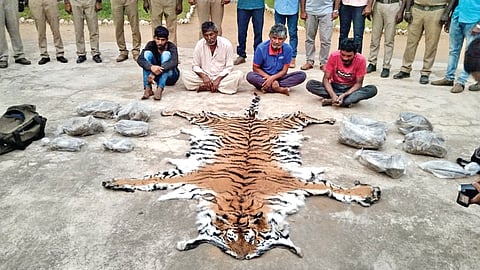 The four accused with the seized tiger skin, bones and nails in Erode on Monday