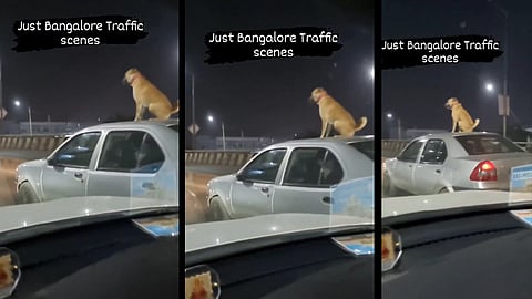 Screengrab from the video