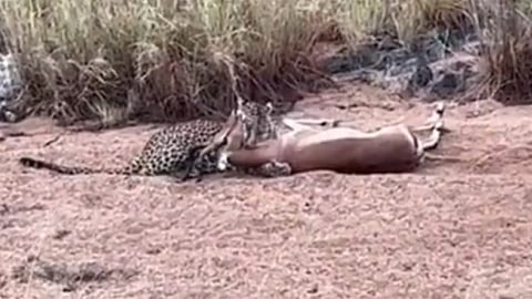 Screengrab from the video