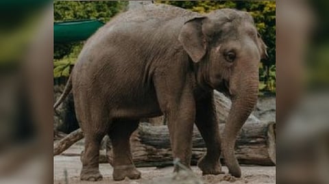 Representative Image