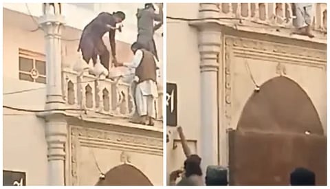 Screengrab from Viral Video