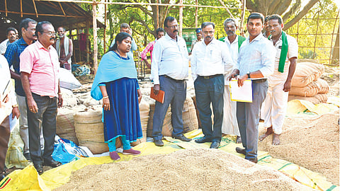 Central team inspecting paddy in Mayiladuthurai on Wednesday
